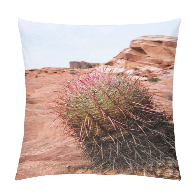 Personality  Valley Of Fire, Nevada Pillow Covers