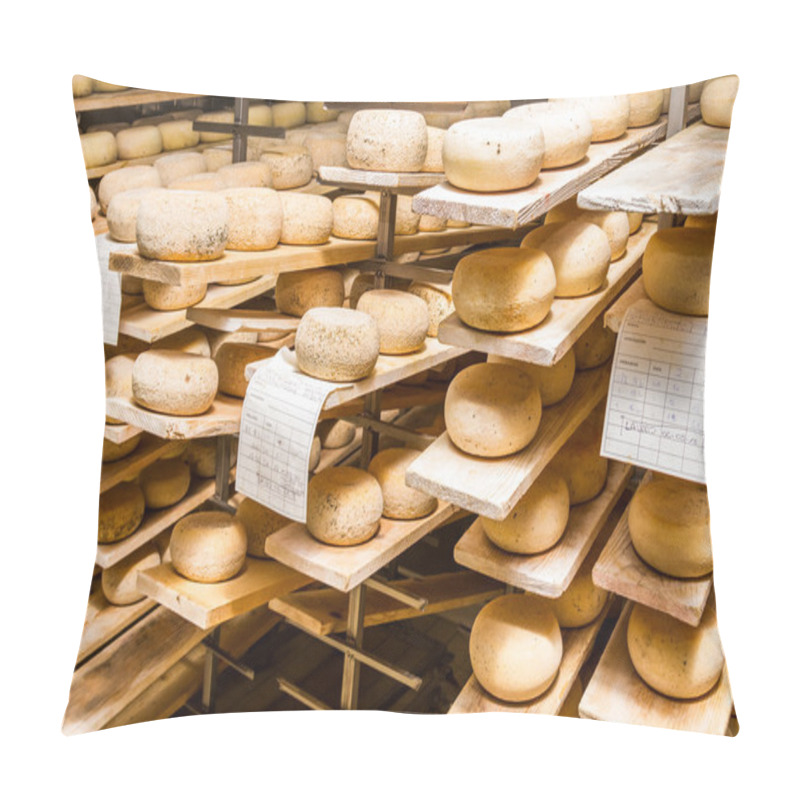 Personality  Ripened Cheeses Lying In The Cold Storage Pillow Covers