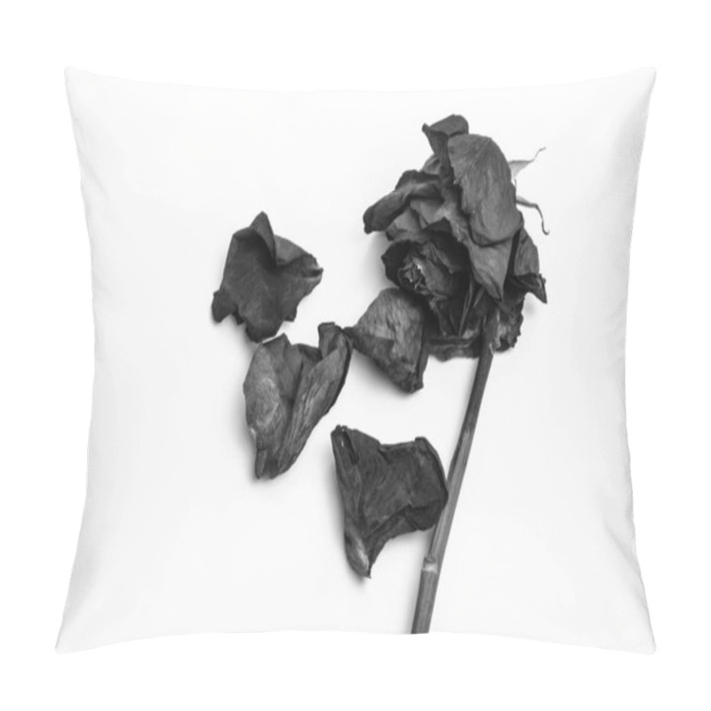 Personality  Dead Rose And Dried Fallen Petals On White Background. Black And White Image. Pillow Covers