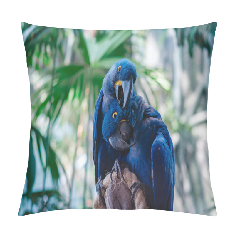 Personality  Couple Of Blue Hyacinth Macaw Parrot In Park Pillow Covers