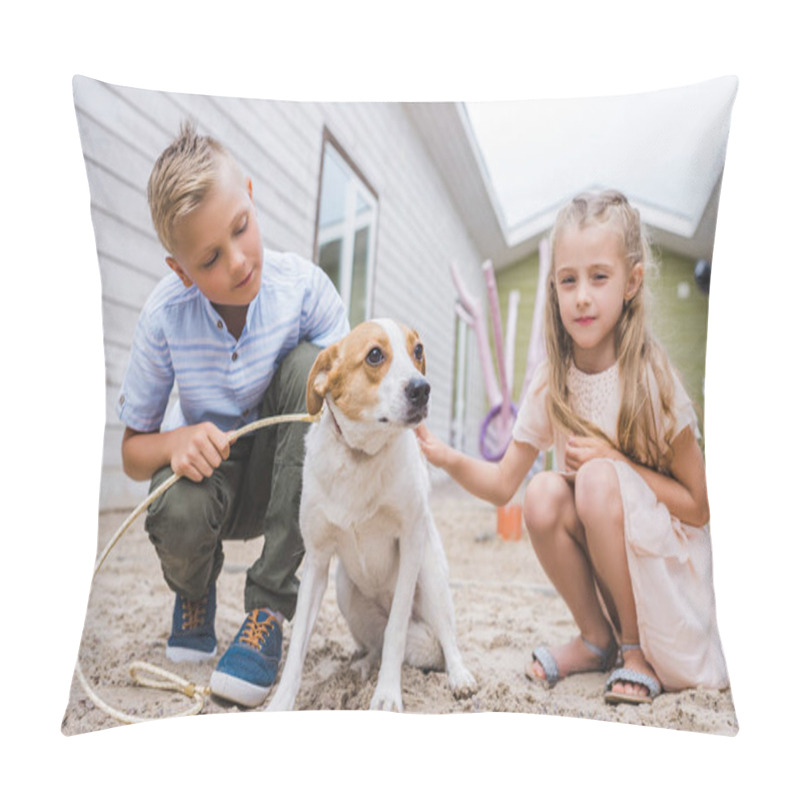 Personality  Brother And Sister Playing With Dog At Animals Shelter And Choosing For Adoption Pillow Covers