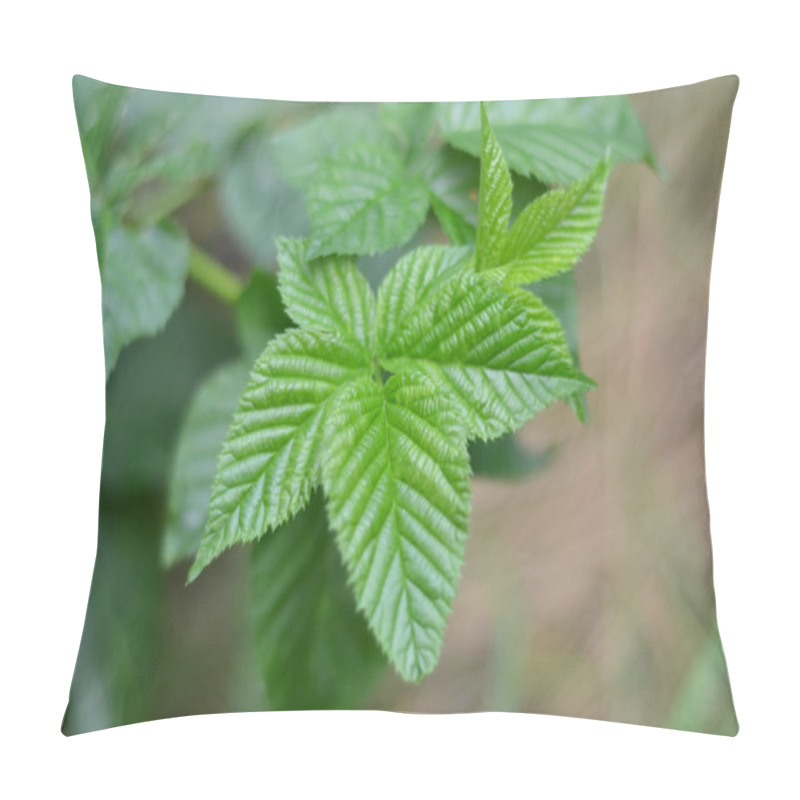 Personality  Raspberry Leaves Pillow Covers