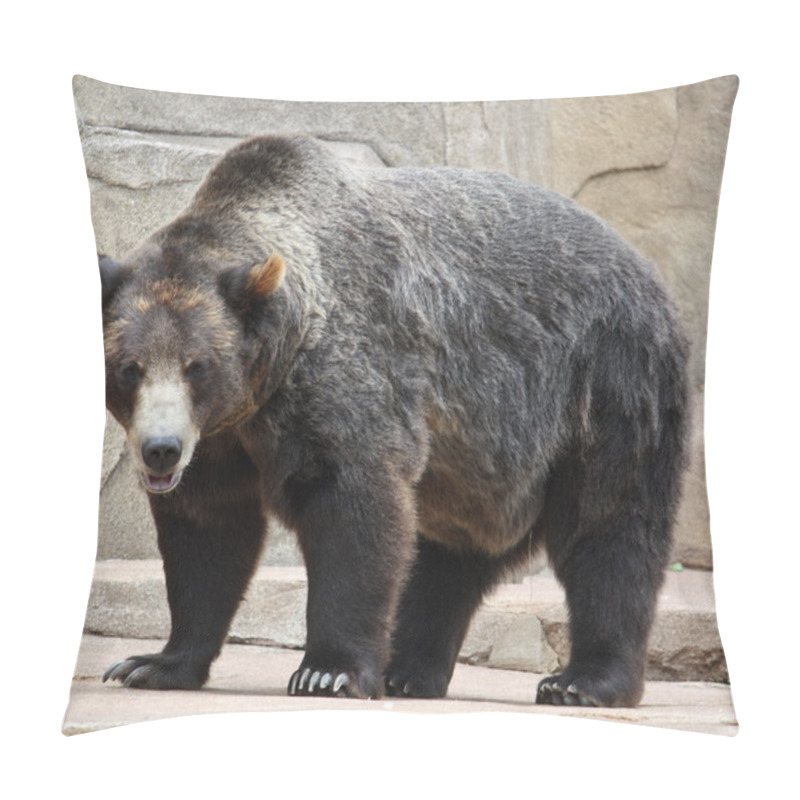 Personality  Big Black Bear Pillow Covers