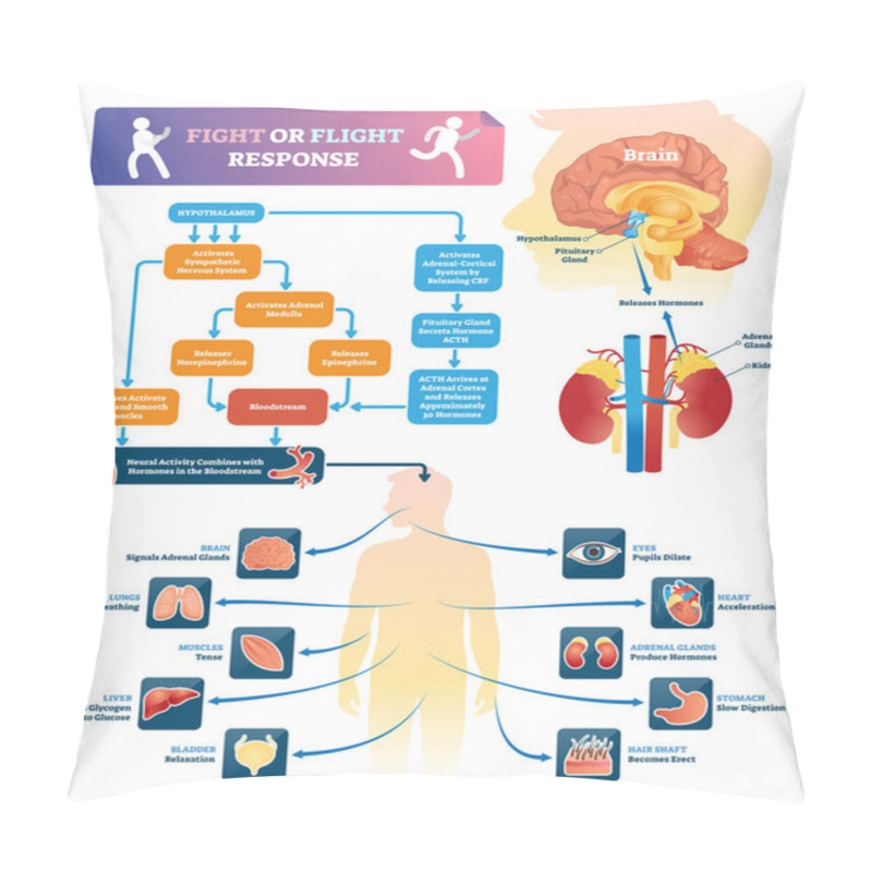 Personality  Fight Or Flight Response Vector Illustration. Labeled Organ Response Scheme Pillow Covers