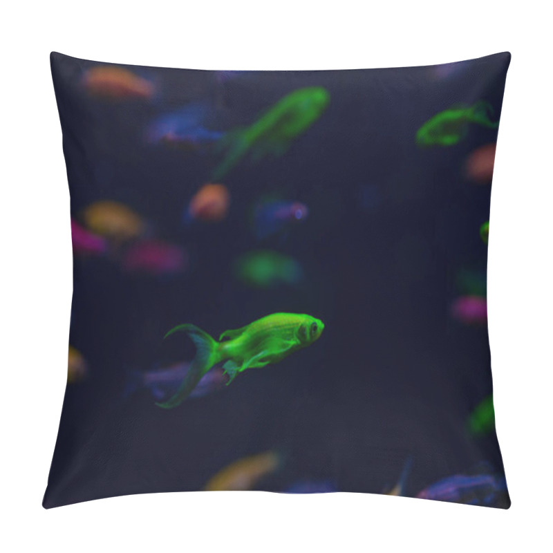 Personality  Nice Danio Glow Fish Freshwater Pets Aquarium Pillow Covers