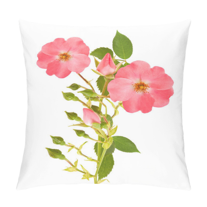 Personality  Dog Rose Pillow Covers