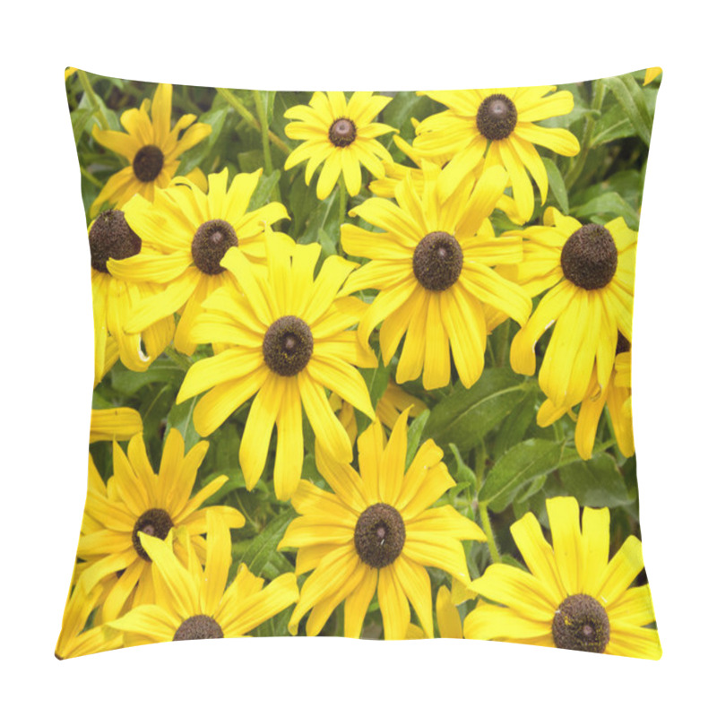 Personality  Black Eyed Susan Background Pillow Covers