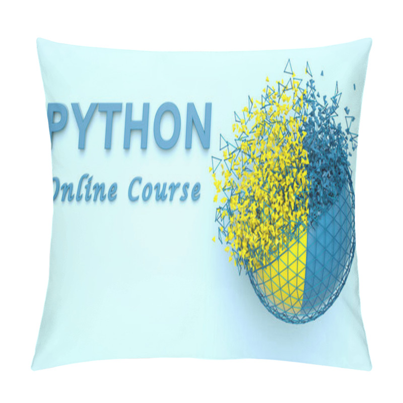 Personality  3D Illustration Of Python Online Course Advertisement. Python Language E-learning. Banner For Python Computer Course. Programming Online Training. Pillow Covers