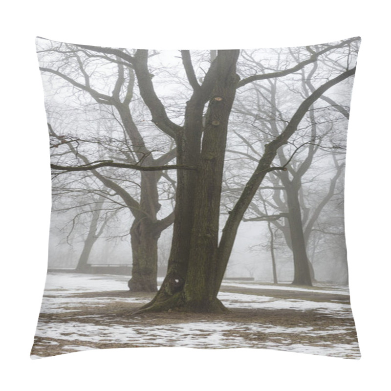 Personality  Snowy Winter Park In Mist Pillow Covers