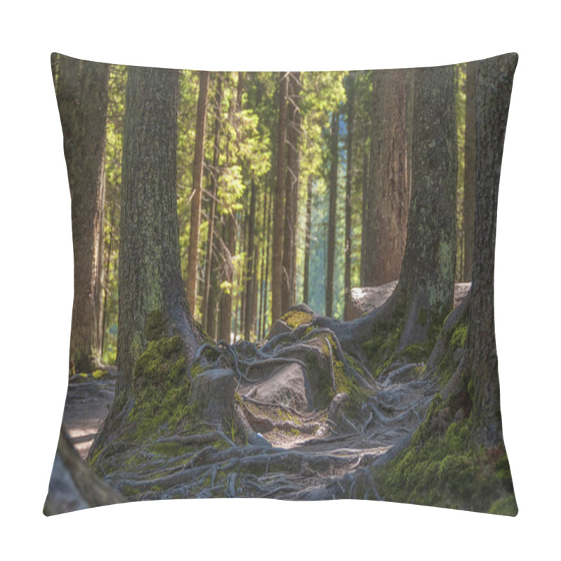 Personality  Magic Sunny Forest. Pillow Covers