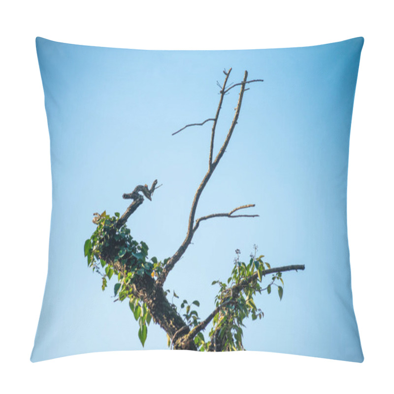 Personality  A Tree Tip With A Y Shape Adorned In Lush Ivy, Adding An Enchanting Touch To The Serene Ambiance Of The Forest. Pillow Covers