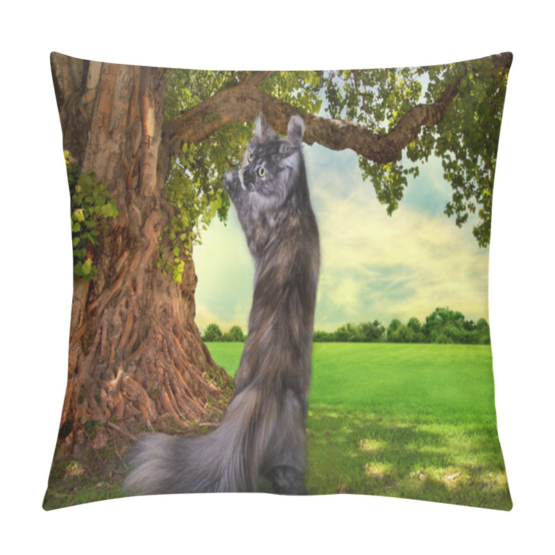 Personality  Maine Coon Cat Hunts Summer Day Pillow Covers