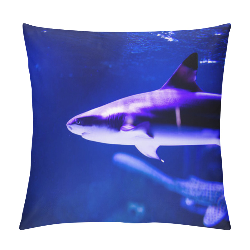 Personality  Shark In The Deep Blue Water Pillow Covers