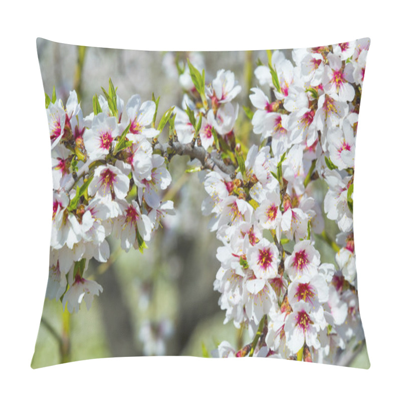 Personality  Closeup Of A Blossoming Almond Tree In Full Bloom Pillow Covers