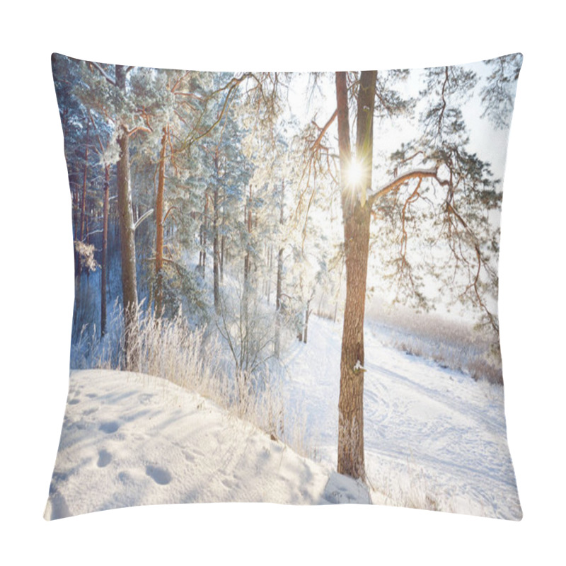 Personality  Winter Forest Scene. Snow-covered Pine Trees, Hills And Walkways. Frozen River In The Background. Sun Rays And Pure Evening Light. Latvia Pillow Covers