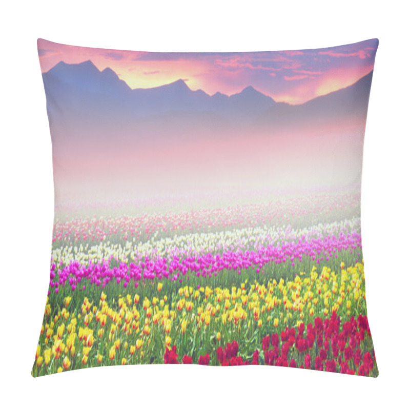 Personality  Field Of Tulips In Foggy Sunrise Pillow Covers