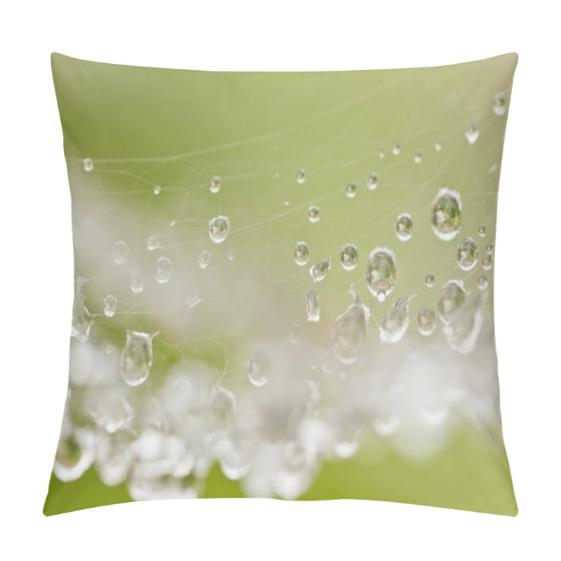 Personality  Spider Web With Water Drops Pillow Covers