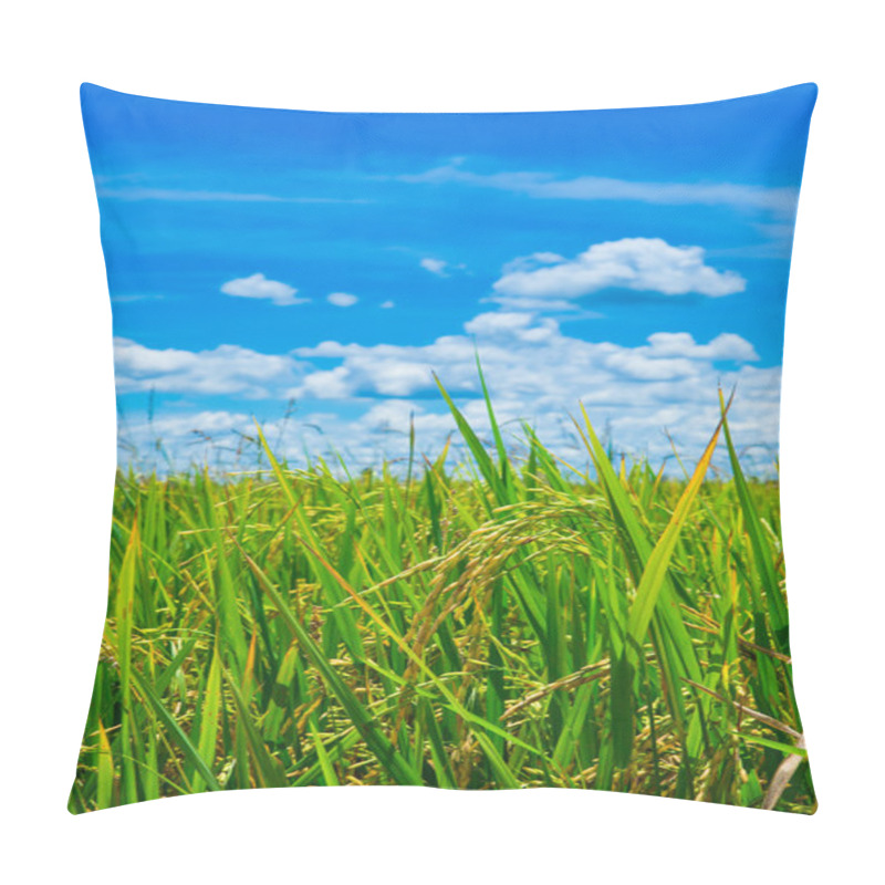 Personality  Green Rice Field With Blue Sky In Thailand Pillow Covers