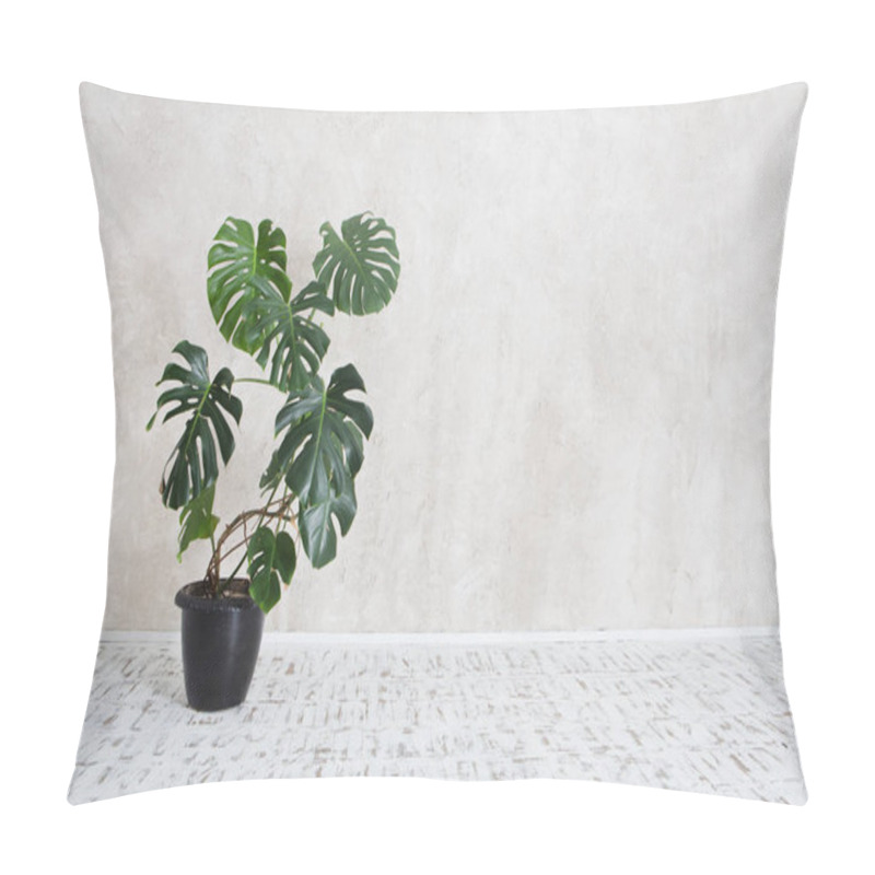 Personality  Flower A Monstera In A Pot In An Interior Against The Background Of A Wall Pillow Covers