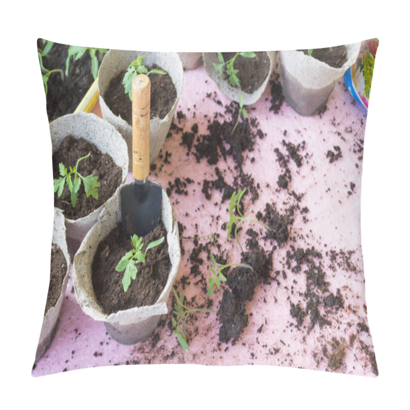 Personality  Tomato Seedlings On The Windowsill. Seedlings In Eco Pots Close-up. Oncept Of Preparing For The Planting Season In Agriculture. Pillow Covers