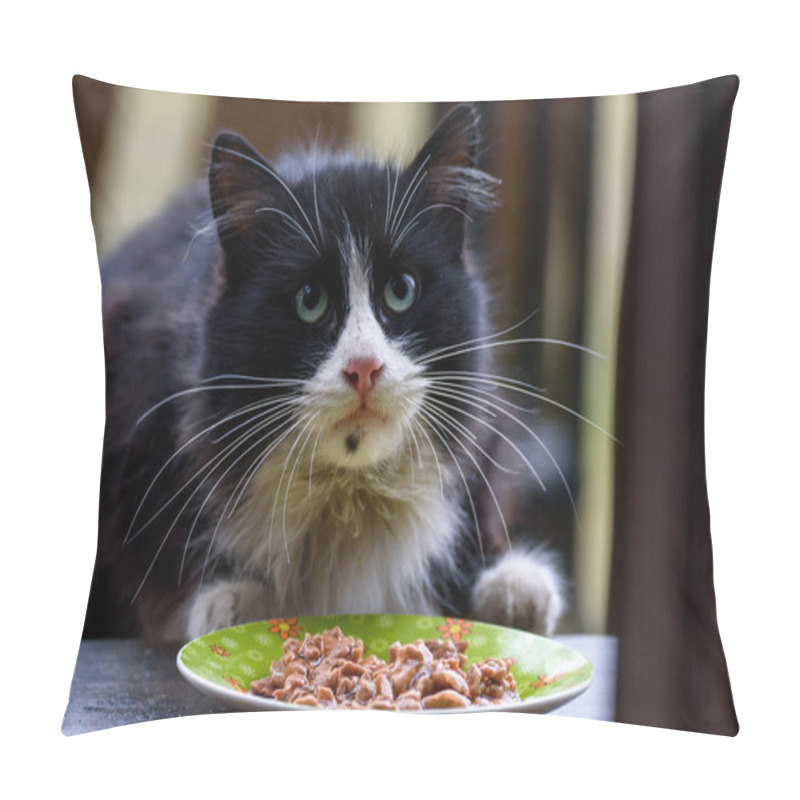 Personality  Stray, Homeless Black Cat Eats Cat Food. Pillow Covers