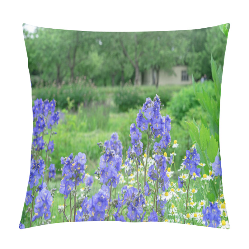 Personality  Purple Polymonium Flowers Known As Jacob's-ladder Or Greek Valerian. Pillow Covers