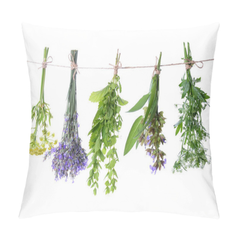 Personality  Set Of Fresh Herbs Hanging  On An Isolated White Background Pillow Covers