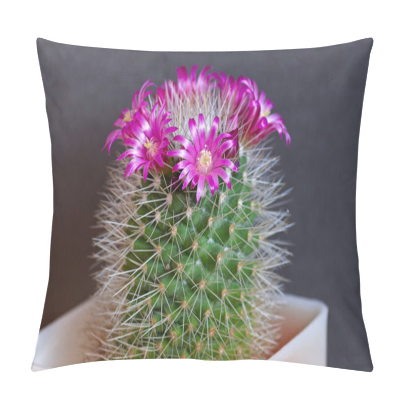 Personality  Cactus Flowers Pillow Covers