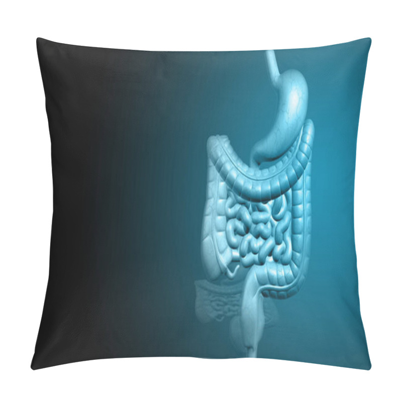 Personality  Digital Illustration Of Human Digestive System In Colour Background	 Pillow Covers