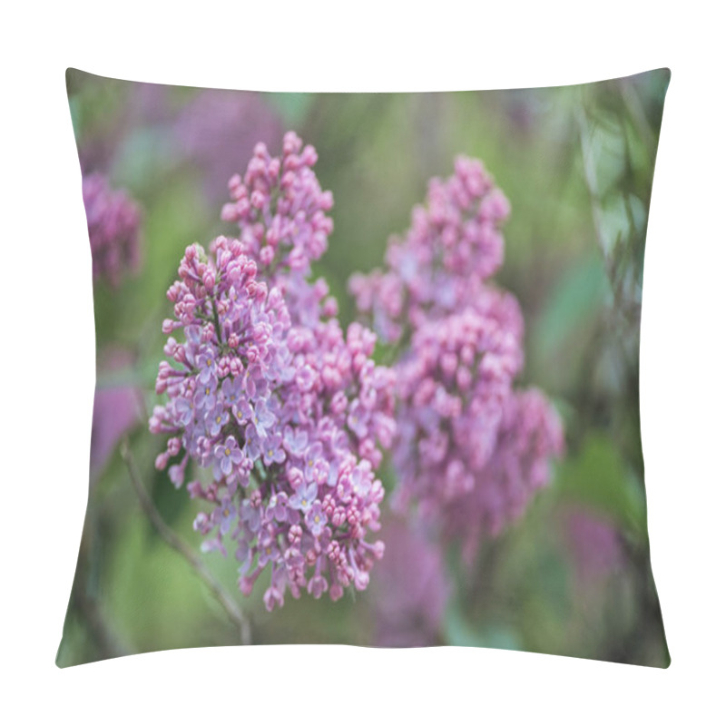 Personality  Close Up View Of Lilac Branch With Small Violet Flowers Pillow Covers