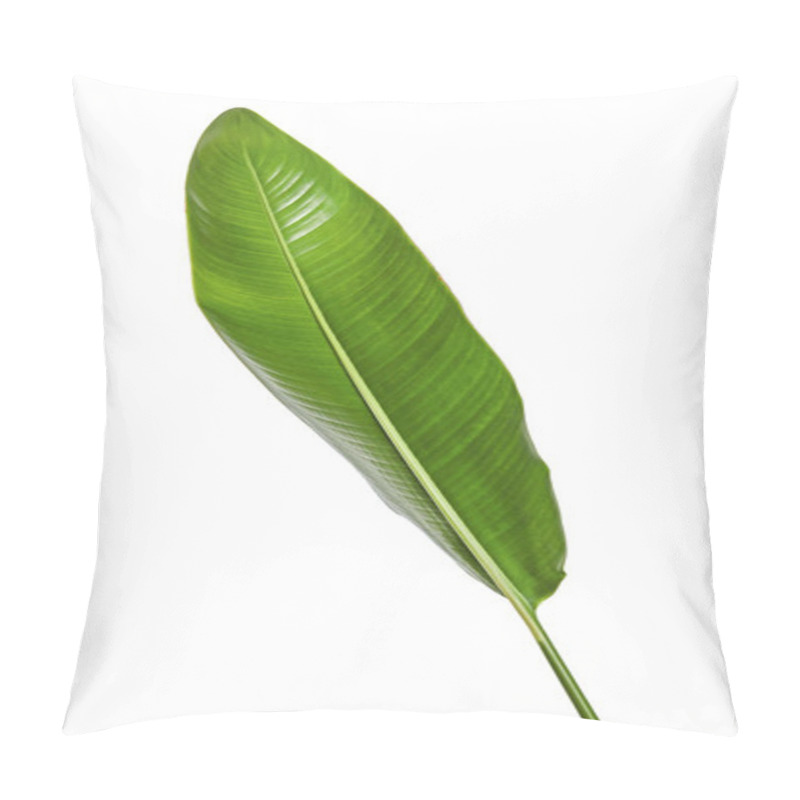 Personality  Strelitzia Reginae, Heliconia, Bird Of Paradise Foliage Isolated On White Background, With Clipping Path Pillow Covers