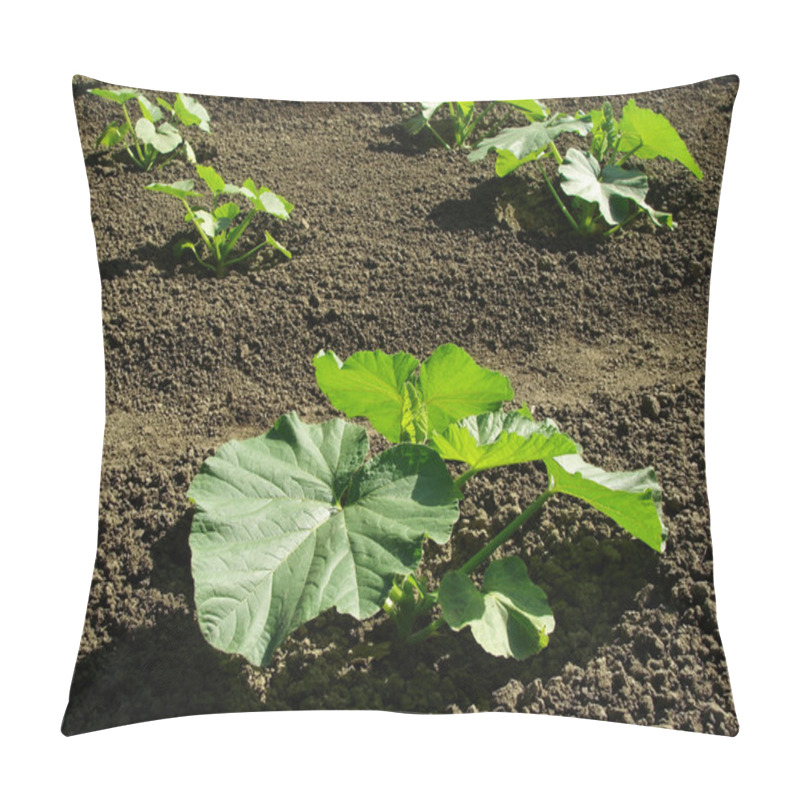 Personality  Gourds Pillow Covers