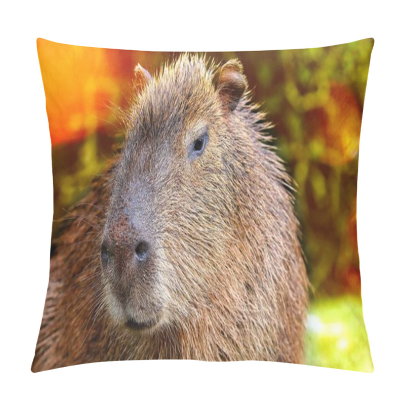 Personality  CapyBara Portrait Looking Forwards Pillow Covers