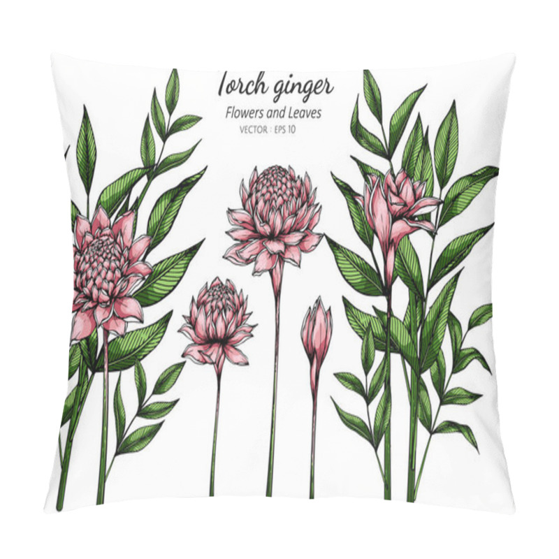 Personality  Set Of Pink Torch Ginger Flower And Leaf Drawing Illustration With Line Art On White Backgrounds Pillow Covers