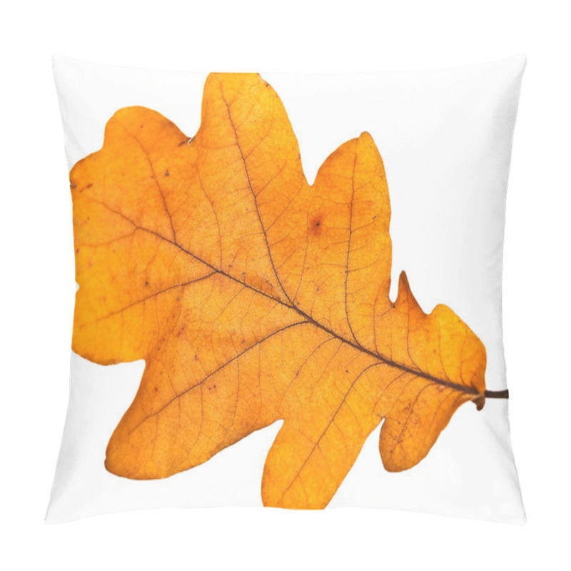 Personality  Oak Leaf Pillow Covers