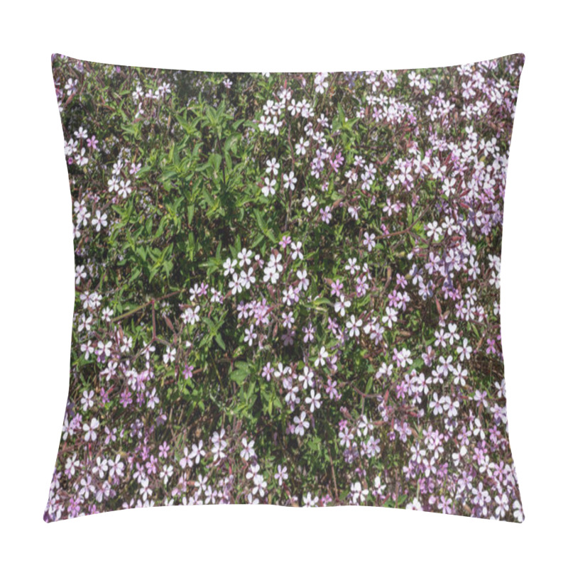 Personality  A Tapestry Of Delicate Wildflowers, A Cluster Of Pink And White Blossoms With Rich Green Foliage, Creates A Vibrant Natural Ground Cover In A Wild Meadow Setting. Pillow Covers