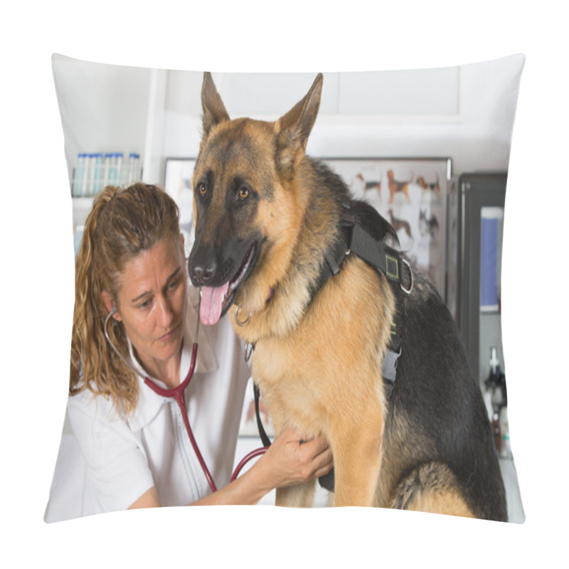 Personality  Veterinary With A German Shepherd Dog Pillow Covers