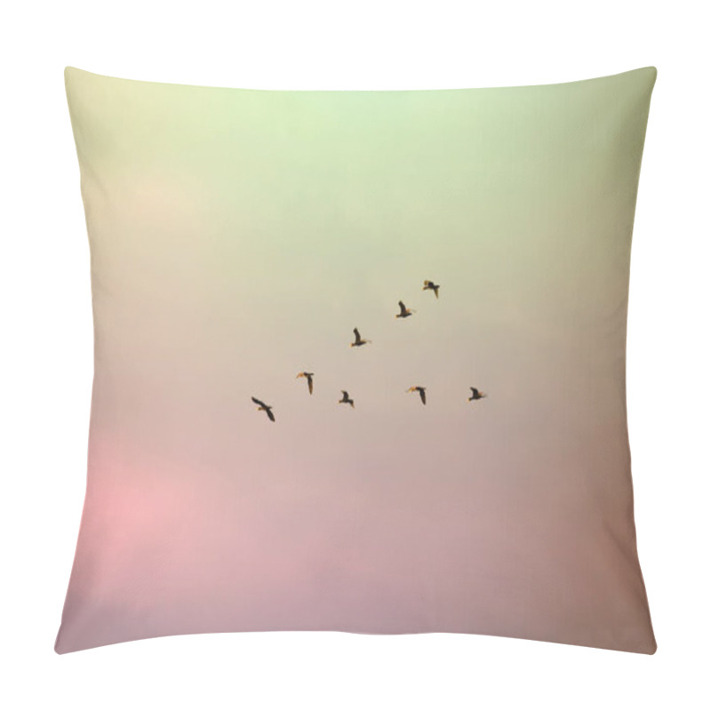 Personality  A Flock Of Migratory Birds Lined Up In A V Formation Before A Long Flight. Pillow Covers