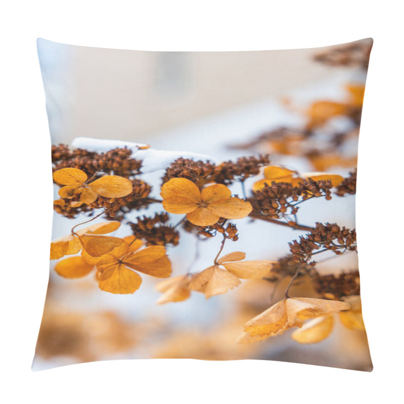 Personality  Dried Hydrangea Flowers Display Warm Orange And Brown Hues, Lightly Dusted With Snow. A Blurred Neutral Toned Background Adds Depth To The Scene. Pillow Covers