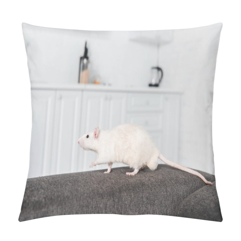 Personality  Selective Focus Of White Mouse Running On Grey Sofa  Pillow Covers