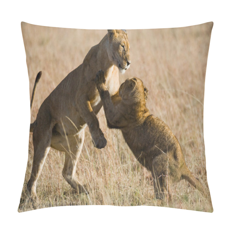 Personality  Two Little Lion Cub Pillow Covers