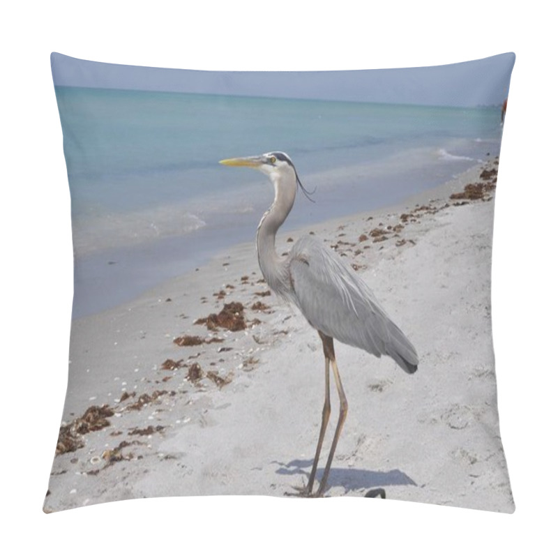 Personality  A Beautiful Great Blue Heron Standing On The Beach Enjoying The Warm Weather Pillow Covers