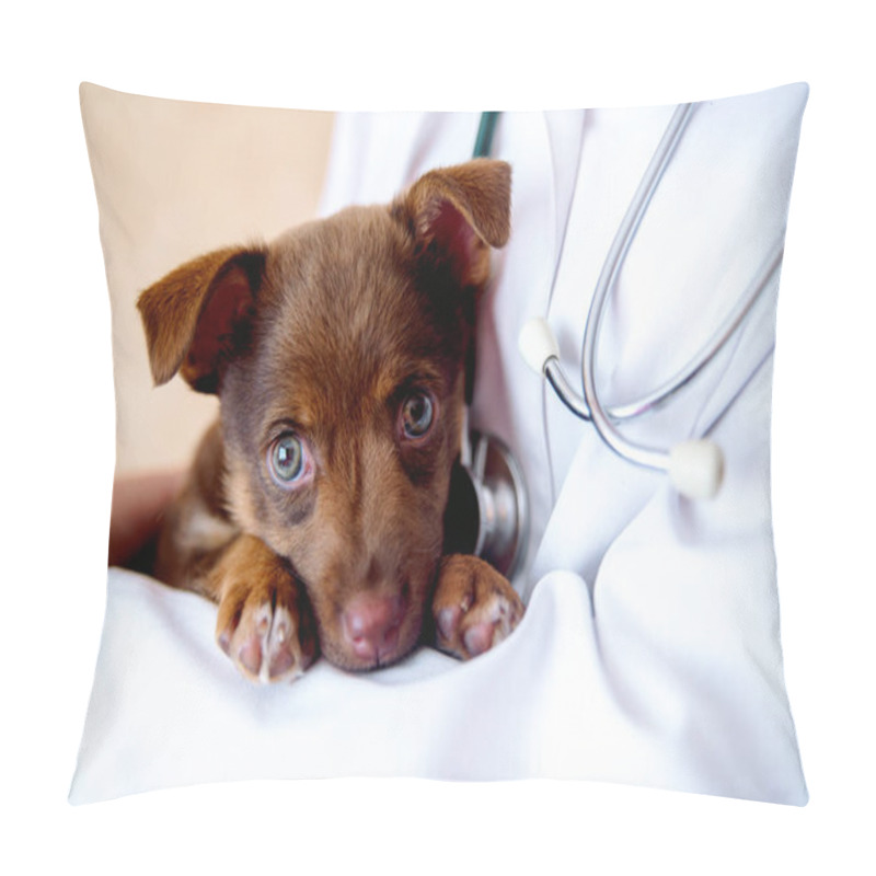 Personality  The Vet Examines A Puppy In The Hospital. The Little Dog Got Sick. Puppy In The Hands Of A Veteran Doctor. Pillow Covers