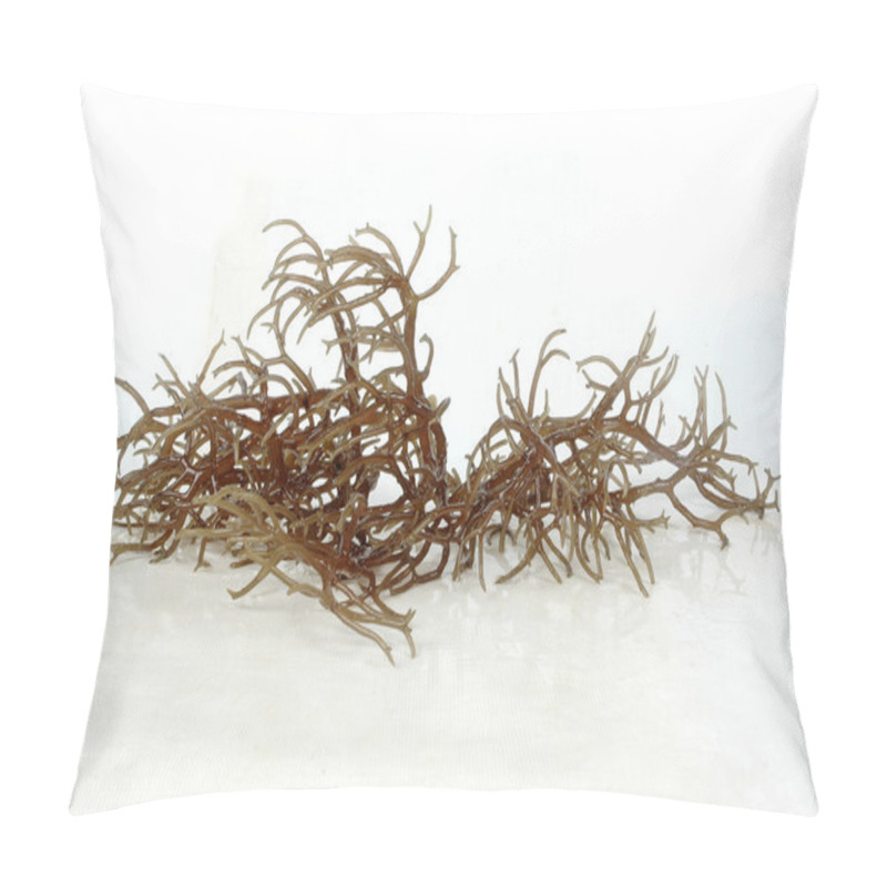 Personality  Fresh Brown Seaweed With Reflection Pillow Covers