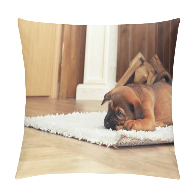 Personality  Cute Puppy Lying On Carpet Pillow Covers