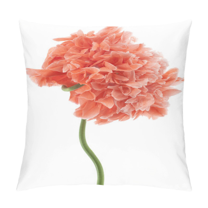 Personality  Poppy Pillow Covers