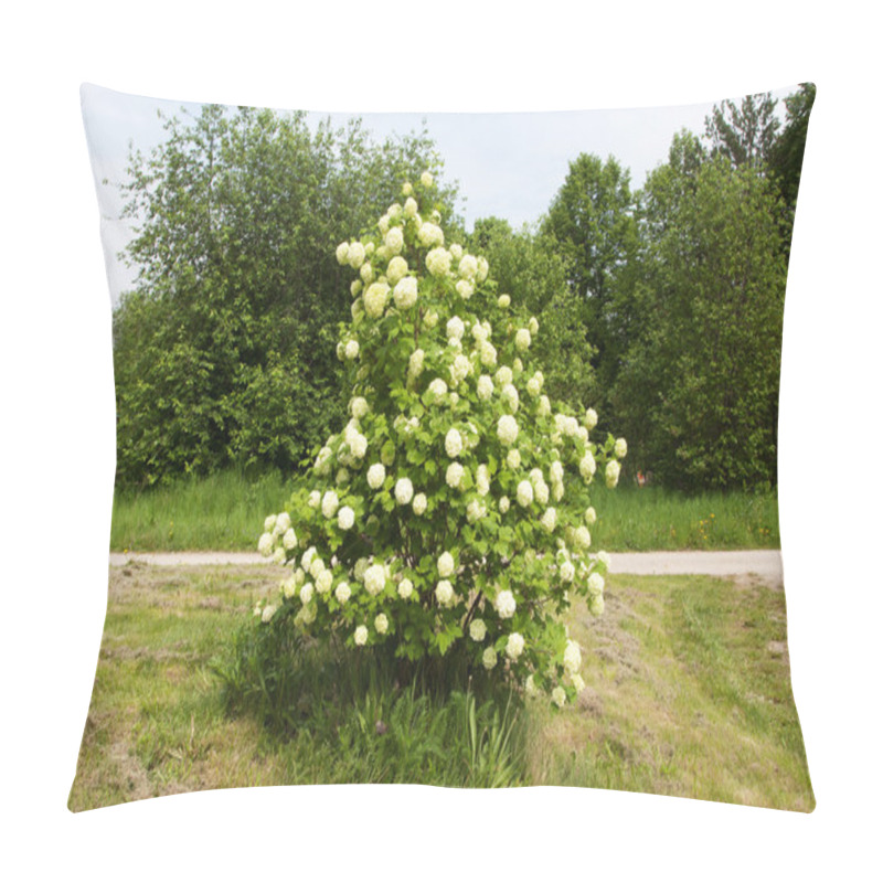 Personality  Shrub With Clusters Of White Flowers Pillow Covers