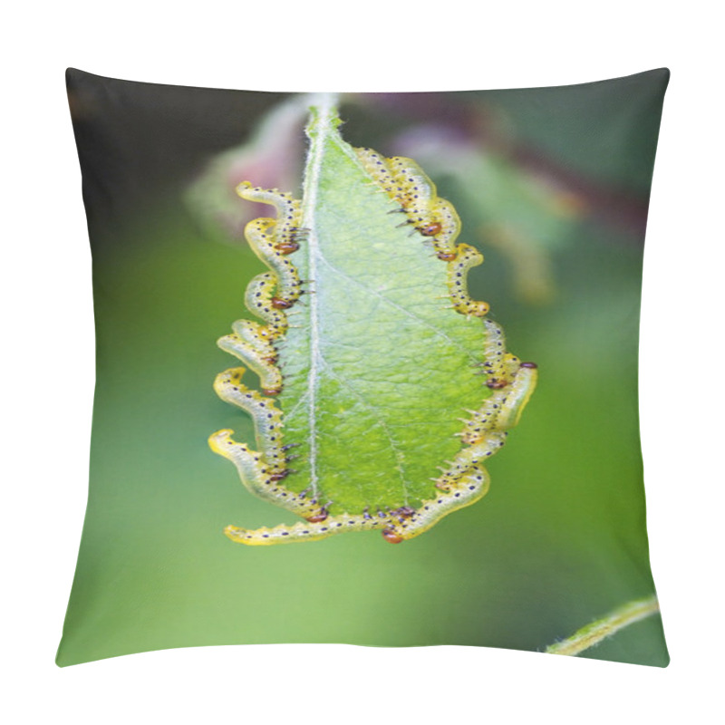 Personality  Caterpillars On A Leaf Pillow Covers