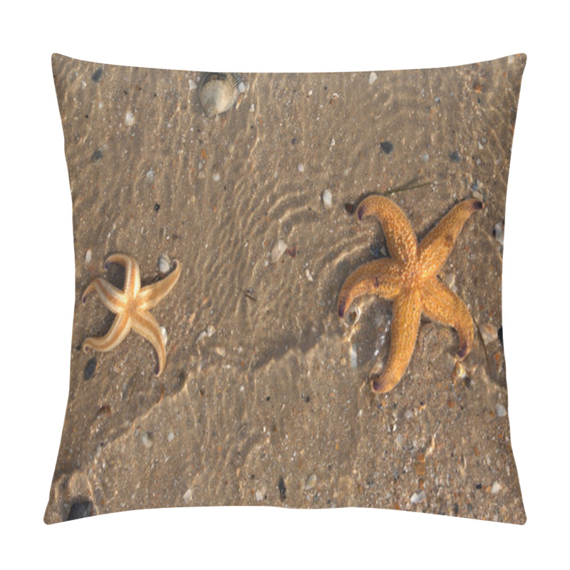 Personality  Star Fish On Caribbean Beach Pillow Covers