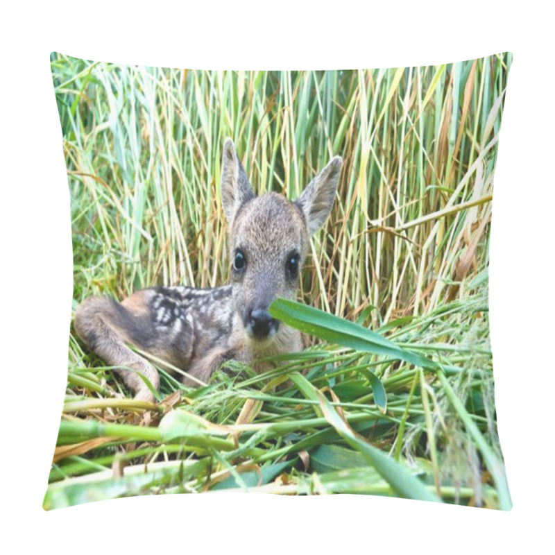 Personality  Roe Deere Pillow Covers